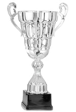 Load image into Gallery viewer, Silver Super Cup