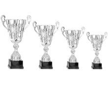 Load image into Gallery viewer, Silver Super Cup