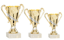 Load image into Gallery viewer, Gold Podium Cup with Silver Stripe
