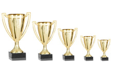 Load image into Gallery viewer, Gold Podium Cup
