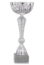 Load image into Gallery viewer, Silver Spiral Patterned Cup
