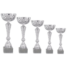 Load image into Gallery viewer, Silver Spiral Patterned Cup
