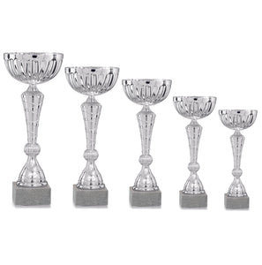 Silver Spiral Patterned Cup