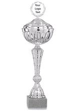 Load image into Gallery viewer, Silver Spiral Patterned Cup with Lid
