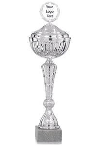 Silver Spiral Patterned Cup with Lid