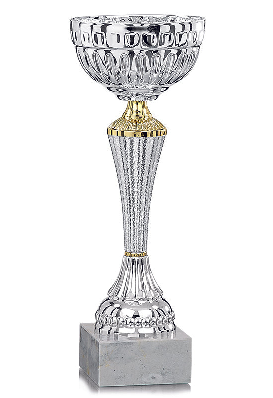 Silver Patterned Cup with Gold Detail