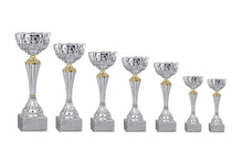 Load image into Gallery viewer, Silver Patterned Cup with Gold Detail
