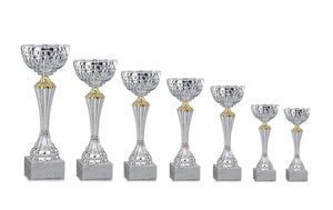 Silver Patterned Cup with Gold Detail