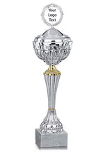 Load image into Gallery viewer, Silver Patterned Cup with Gold Detail with Lid
