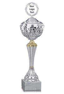 Silver Patterned Cup with Gold Detail with Lid