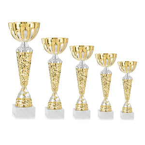 Gold & Silver Rocky Pattern Cup