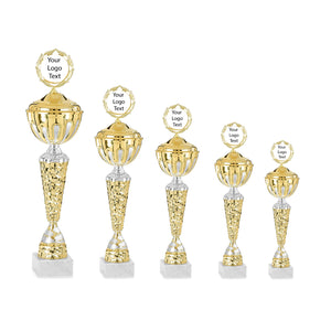 Gold & Silver Rocky Pattern Cup with Lid