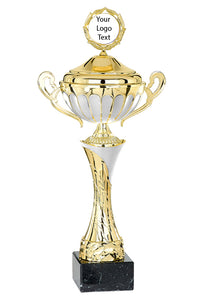 Gold Cup with Silver Detail with Lid