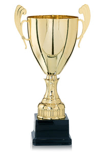 Gold Presentation Cup
