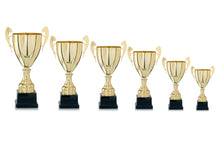 Load image into Gallery viewer, Gold Presentation Cup
