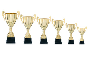 Gold Presentation Cup