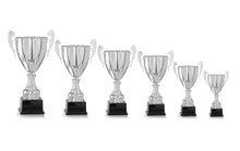 Load image into Gallery viewer, Silver Presentation Cup
