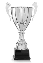 Load image into Gallery viewer, Silver Presentation Cup
