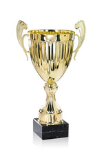 Load image into Gallery viewer, Gold Linear Presentation Cup
