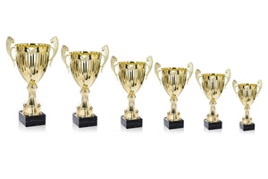 Gold Linear Presentation Cup