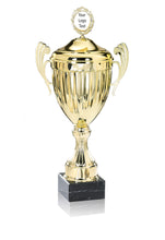 Load image into Gallery viewer, Gold Linear Presentation Cup with Lid
