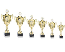Load image into Gallery viewer, Gold Linear Presentation Cup with Lid

