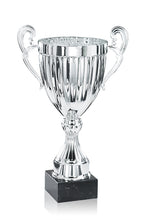 Load image into Gallery viewer, Silver Linear Presentation Cup
