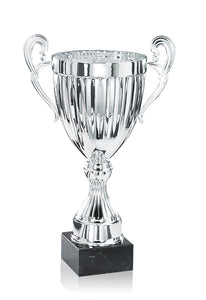 Silver Linear Presentation Cup