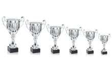 Load image into Gallery viewer, Silver Linear Presentation Cup

