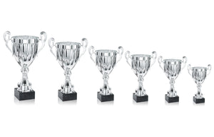 Silver Linear Presentation Cup