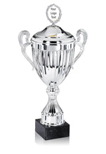 Load image into Gallery viewer, Silver Linear Presentation Cup with Lid
