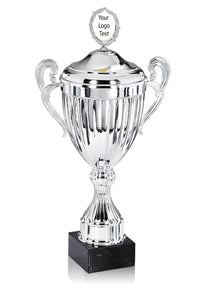 Silver Linear Presentation Cup with Lid