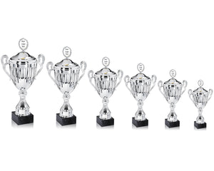 Silver Linear Presentation Cup with Lid