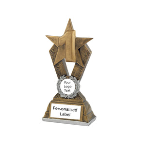 Achievement Star Award 1st